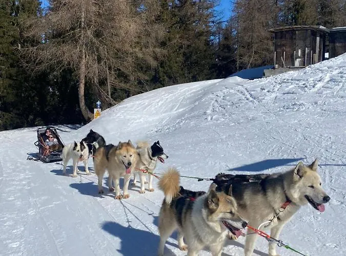 Plagne Bellecote - 5 Pers - Vue Pistes - Acces Piscine Chauffee *