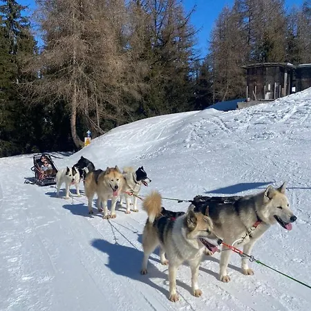 Plagne Bellecote - 5 Pers - Vue Pistes - Acces Piscine Chauffee *